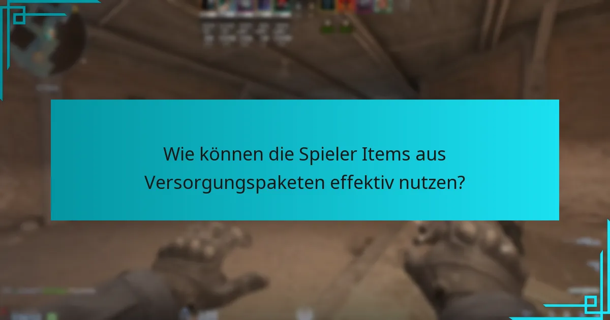 Wie können die Spieler Items aus Versorgungspaketen effektiv nutzen?