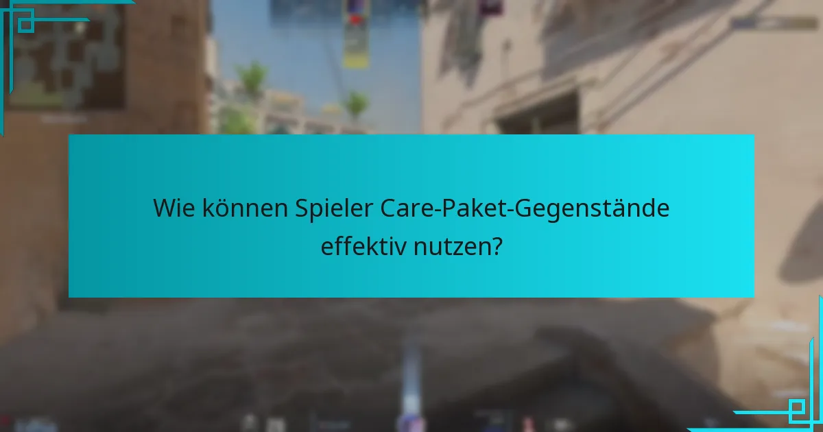 Wie können Spieler Care-Paket-Gegenstände effektiv nutzen?